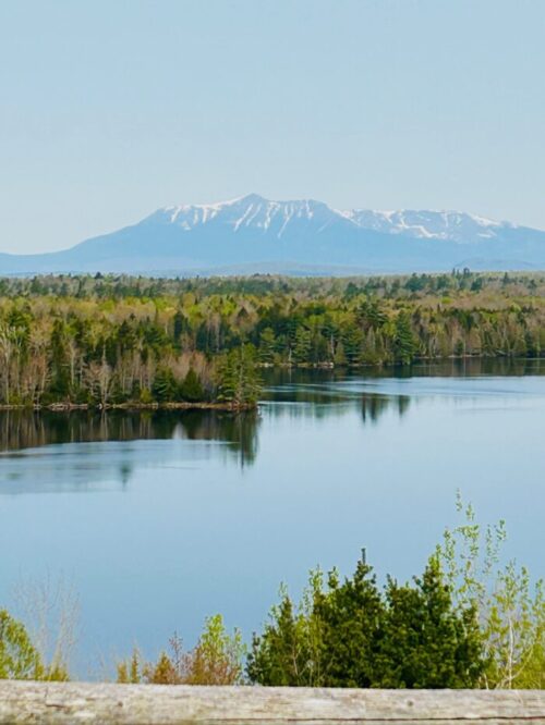 READING 6/28/24 in Millinocket - Annaliese Jakimides